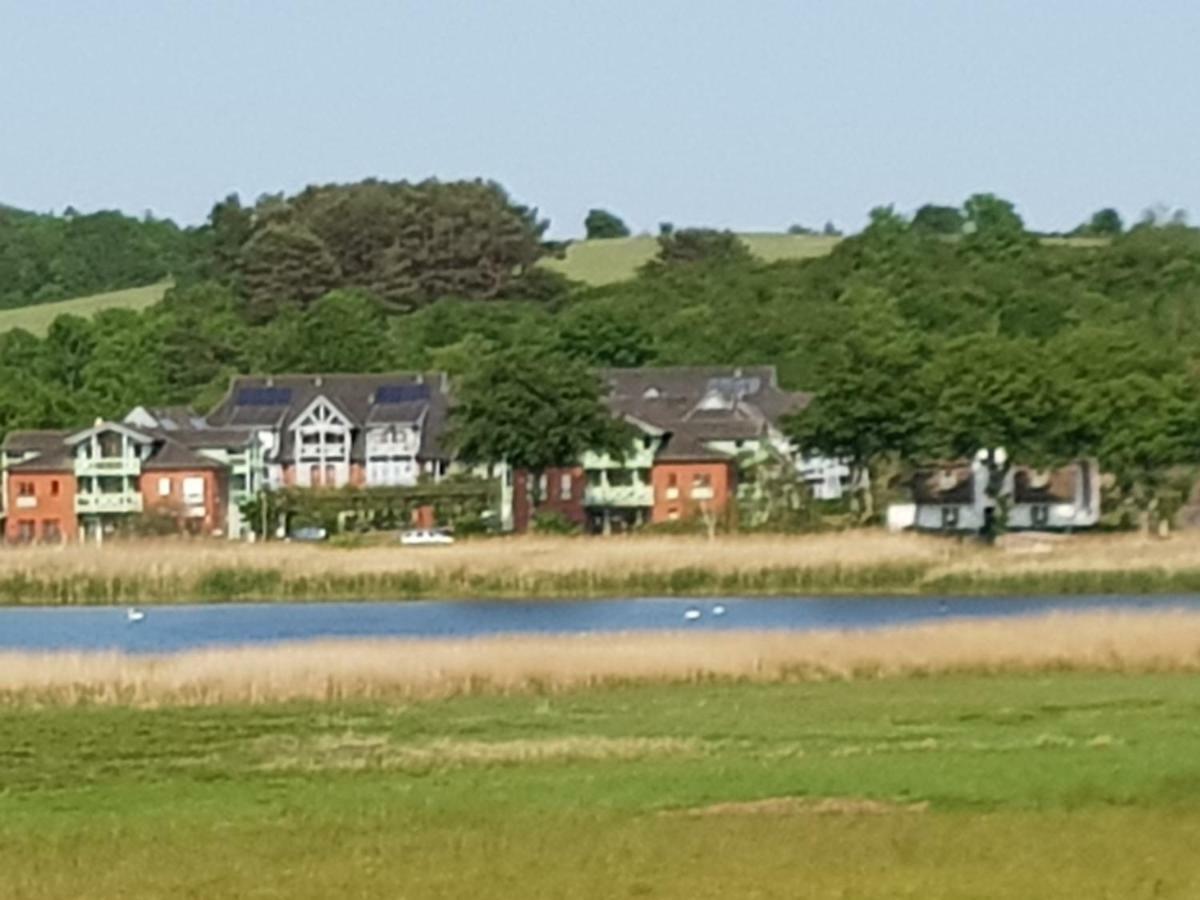 Ferienwohnung 4 Im Haus Am See Mit Wintergarten Und Terrasse Seedorf  Kültér fotó